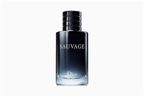 thebay mens fragrance dior|DIOR Men's Cologne .